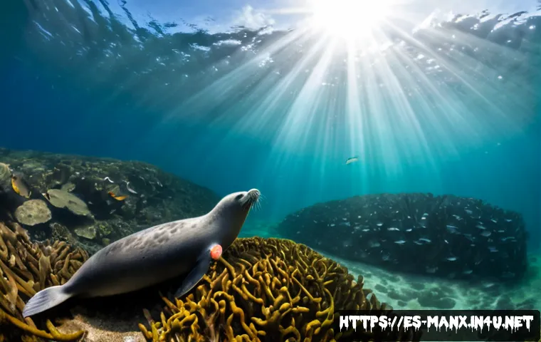 Home 17 맨섬 해양 생태계 - Photorealistic underwater view of the Isle of Man marine ecosystem, a grey seal gliding above a dens...